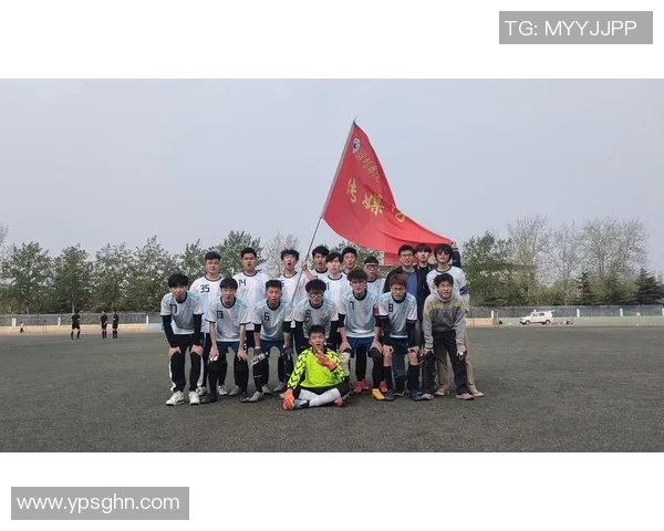 南京足球队在联赛中的团队协作表现分析与展望